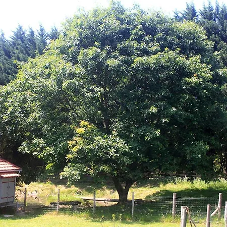 Tente Trappeur Ada, Au Jardin De La Vouivre Saint-Vincent-en-Bresse Exterior photo