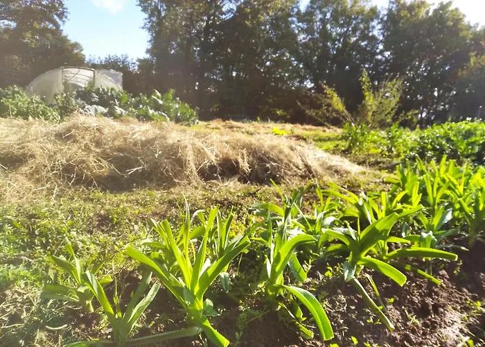 Tente Trappeur Ada, Au Jardin De La Vouivre