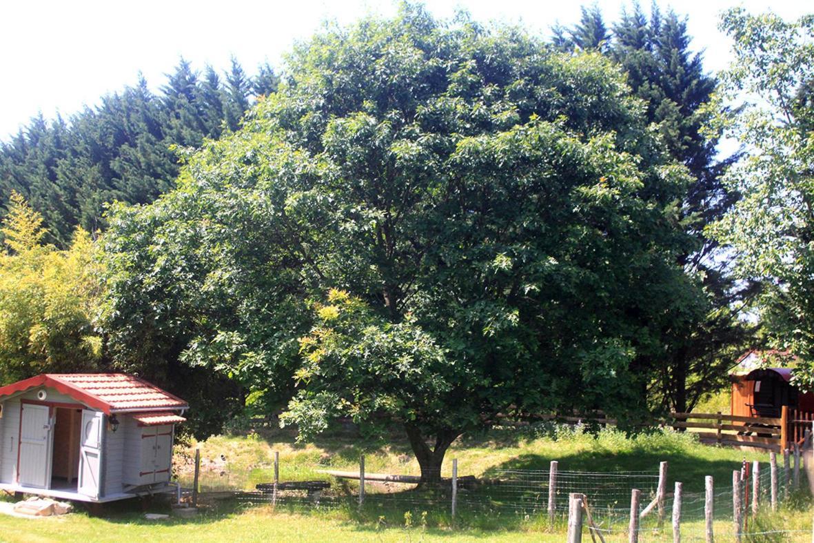 Tente Trappeur Ada, Au Jardin De La Vouivre *