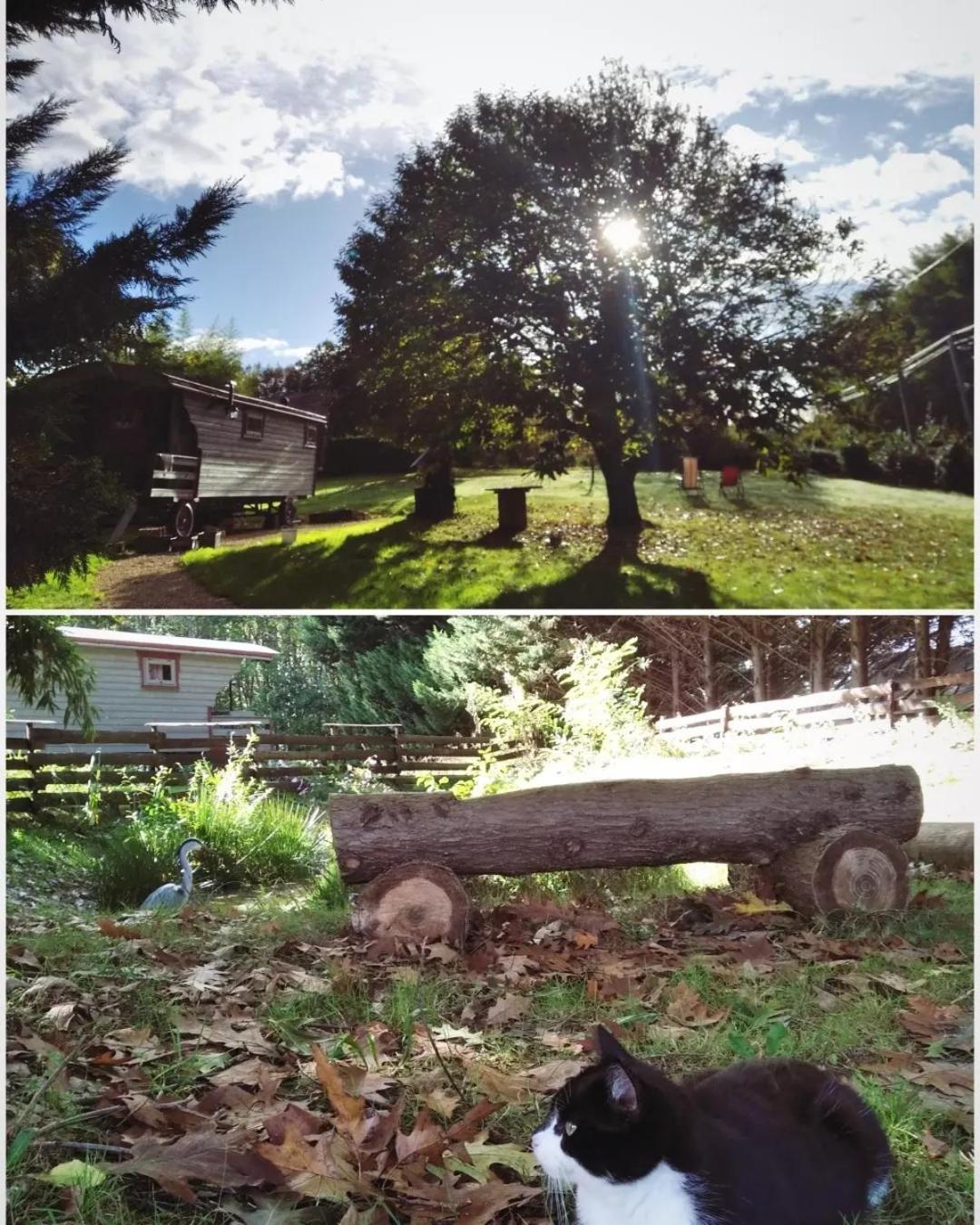 Tente Trappeur Ada, Au Jardin De La Vouivre Luxury tent Saint-Vincent-en-Bresse