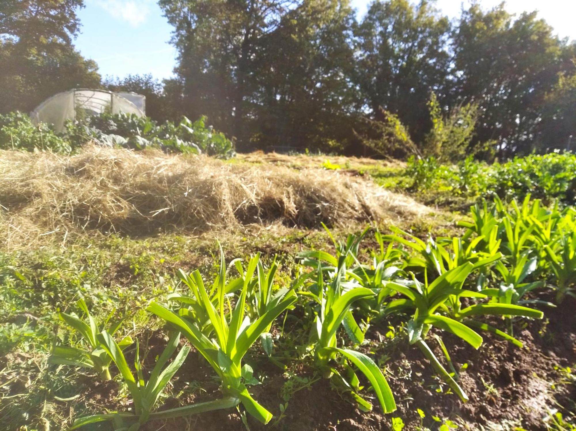 Tente Trappeur Ada, Au Jardin De La Vouivre Luxury tent *
