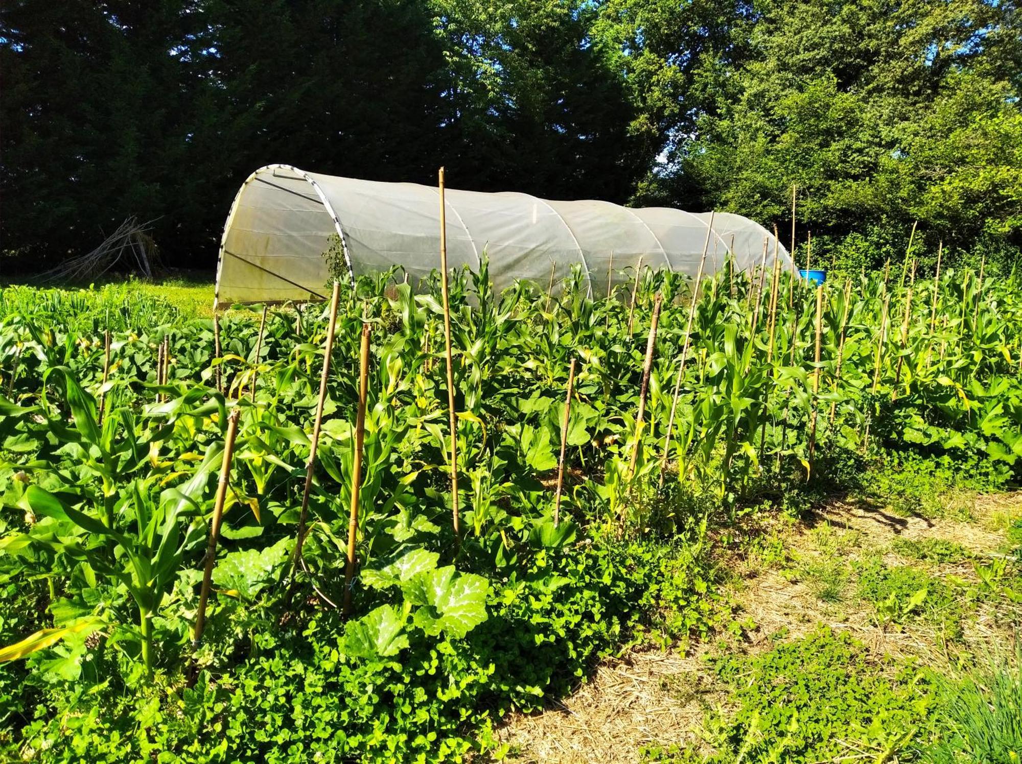 Tente Trappeur Ada, Au Jardin De La Vouivre Luxury tent