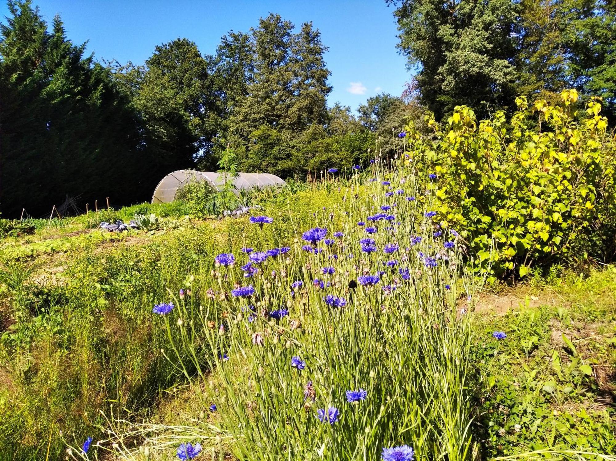 Tente Trappeur Ada, Au Jardin De La Vouivre Luxury tent