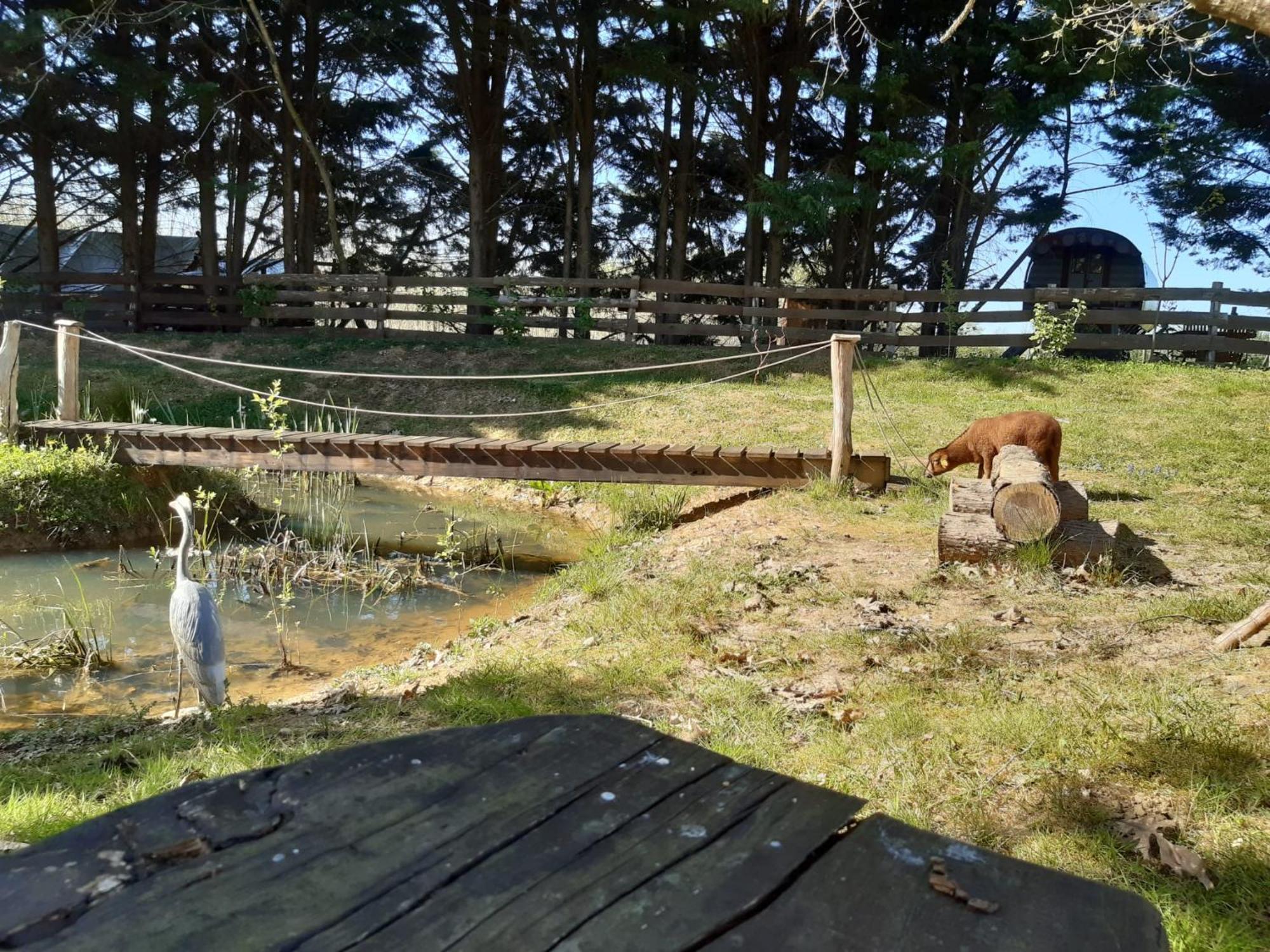 Tente Trappeur Ada, Au Jardin De La Vouivre * Saint-Vincent-en-Bresse